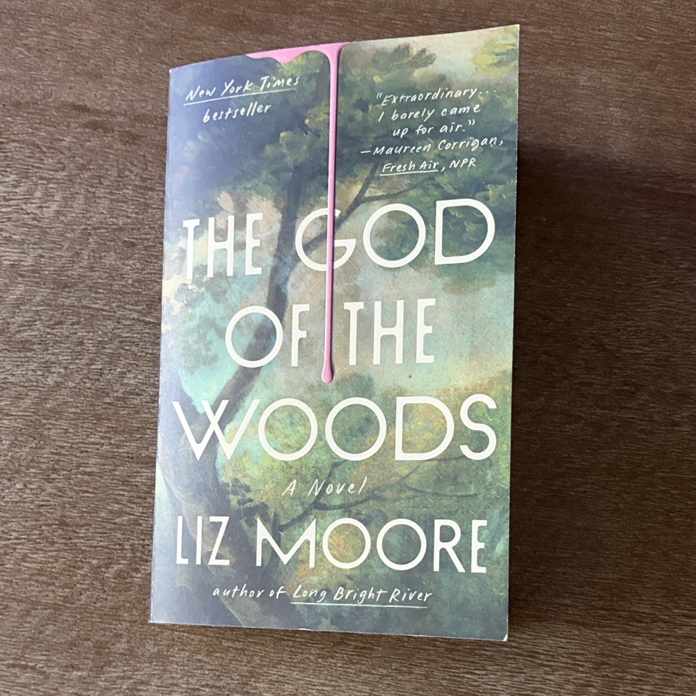 The God of the Woods by Liz Moore - Paperback - Picture 6 of 8